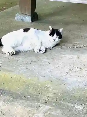 鎌数伊勢大神宮(千葉県)