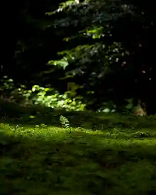 御岩神社(茨城県)