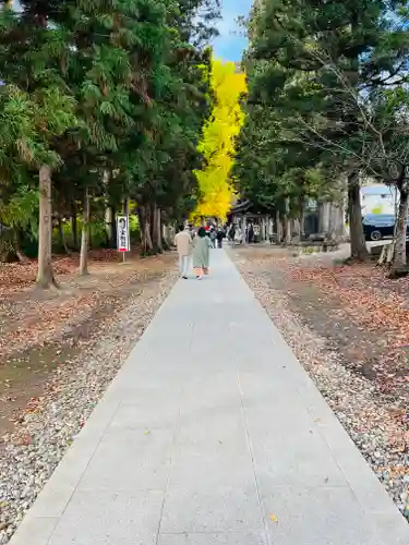 新宮熊野神社の建物その他