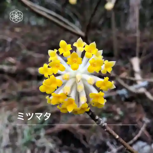 日光東照宮(栃木県)