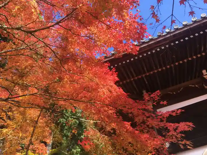 播州清水寺の自然