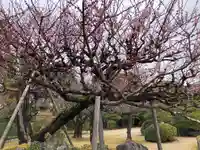 伊勢神宮内宮(皇大神宮)(三重県)