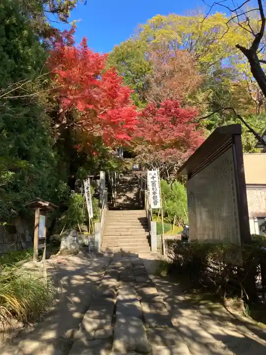 杉本寺の景色
