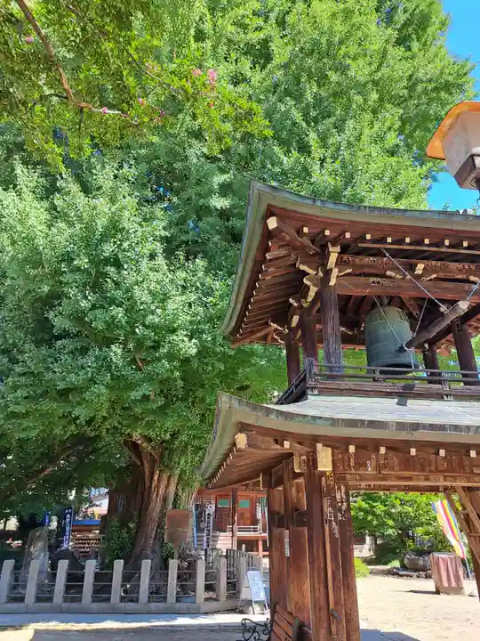 飛騨国分寺(岐阜県)