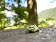 子檀嶺神社の動物