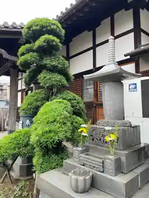養泉寺(東京都)