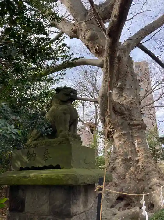 愛宕神社(福島県)
