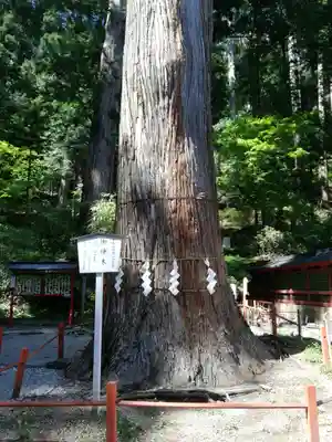 日光二荒山神社(栃木県)