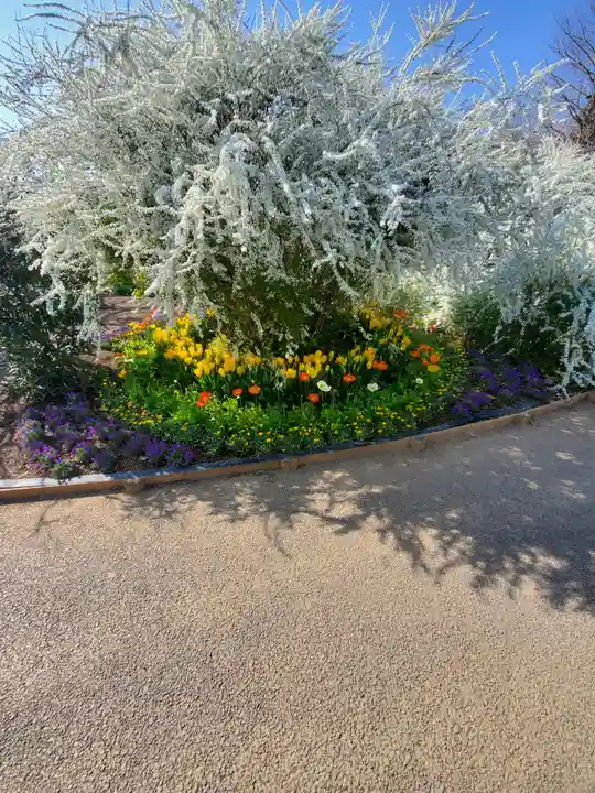 寺岡山元三大師の自然