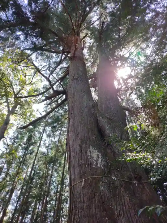 黒瀧神社(三重県)