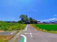 神明社(甲新田イ一)の自然