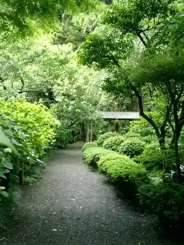 明月院の庭園