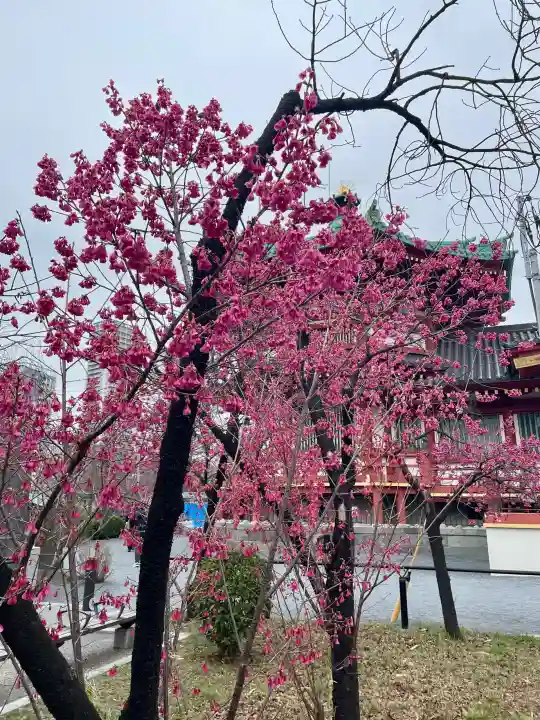 寛永寺不忍池弁天堂の{uncategorized: "未分類", other: "その他", undefined: "問題あり", building: "その他建物", grave: "お墓", sacred_gate: "鳥居", guardian: "狛犬", statue: "像", buddha: "仏像", history: "歴史", nature: "自然", garden: "庭園", animal: "動物", pagoda: "塔", temizu: "手水舎", mountain_gate: "山門・神門", sanctuary: "本殿・本堂", subordinate: "末社・摂社", art: "芸術", scenery: "景色", jizo: "地蔵", ema: "絵馬", goshuin: "御朱印", omikuji: "おみくじ", items: "授与品その他", amulet: "お守り", goshuincho: "御朱印帳", eats: "食事", festival: "お祭り", votive_dance: "神楽", shichigosan: "七五三参", wedding: "結婚式", experience: "体験その他", initially: "初詣", around: "周辺", anti_infection: "感染症対策"}
