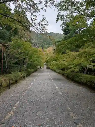 二尊院(京都府)