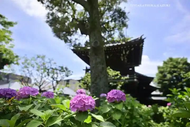 白山神社(東京都)