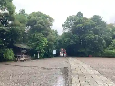 武蔵一宮氷川神社(埼玉県)