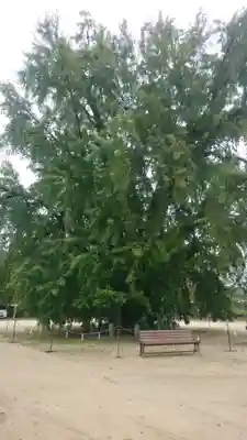 吉備津神社(広島県)