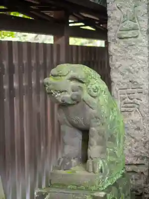 牛嶋神社の狛犬