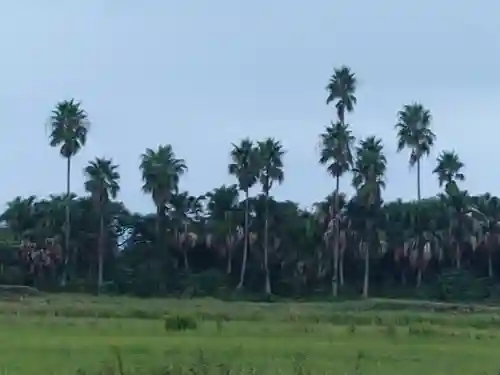 六所神社(千葉県)