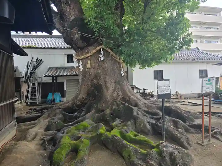 大念佛寺(大阪府)