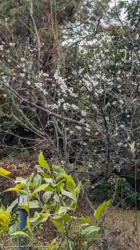 勝林寺(京都府)