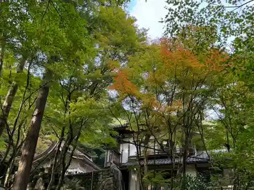 大矢田神社(岐阜県)