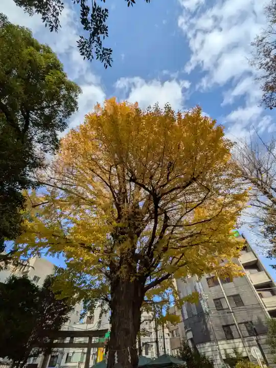 鳩森八幡神社(東京都)