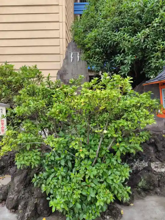 氷川鍬神社(埼玉県)