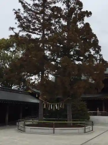 寒川神社の自然