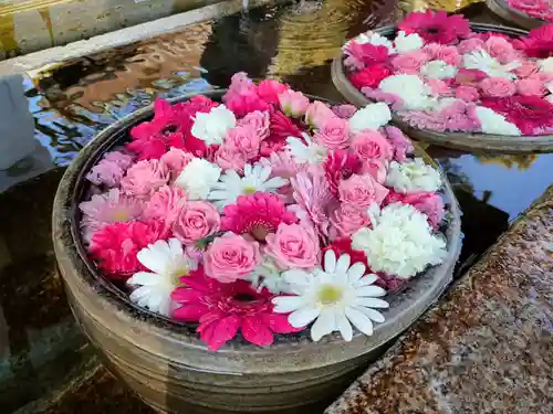 津島神社の手水舎