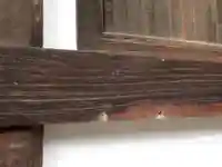 根来寺のその他建物