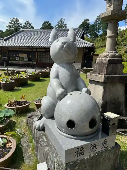 三室戸寺(京都府)