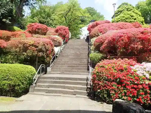 等覚院の御朱印