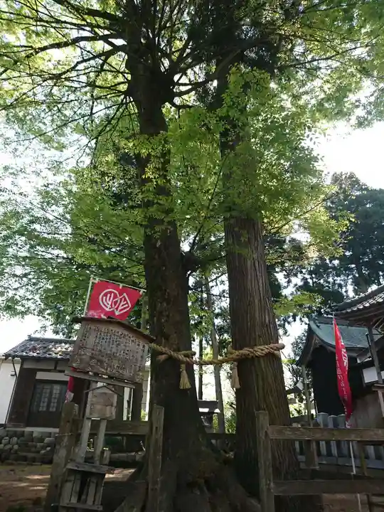 春日神社の自然