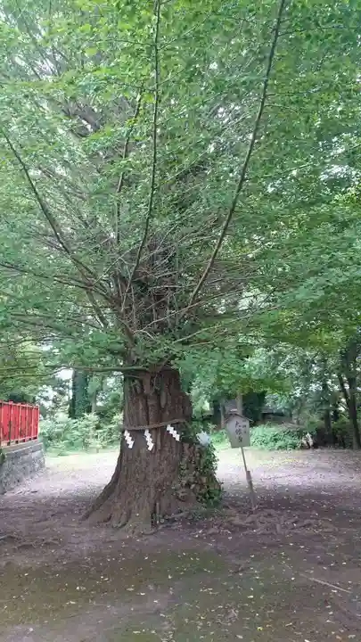 津島神社のその他建物