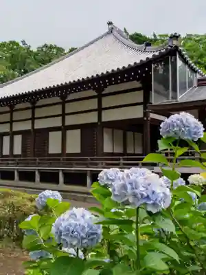 妙法寺(東京都)