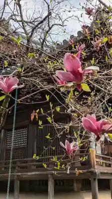 観音寺（山崎聖天）(京都府)