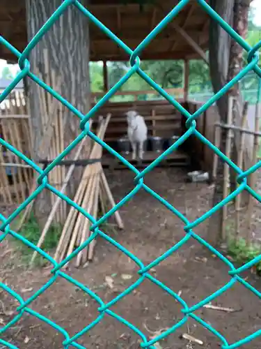 蓮田東照宮(埼玉県)