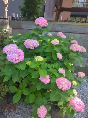 葛飾八幡宮(千葉県)