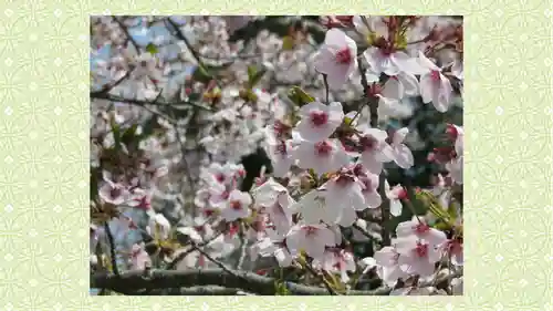 宮城縣護國神社の自然