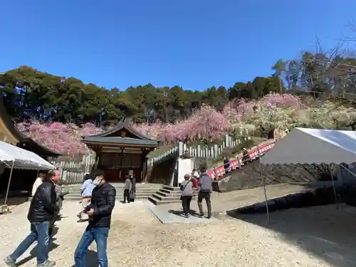 大縣神社のその他建物