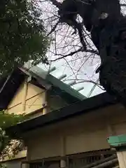 須賀神社の本殿