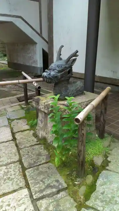 瑞鳳寺の狛犬