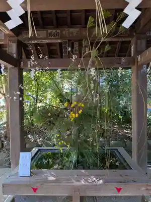 赤坂氷川神社(東京都)
