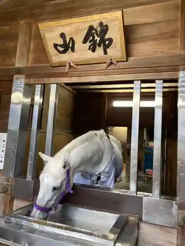 多度大社(三重県)