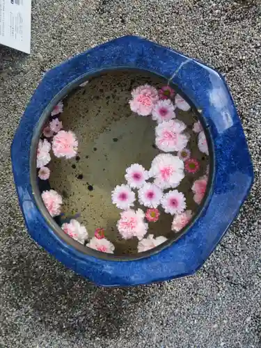 荘内神社(山形県)