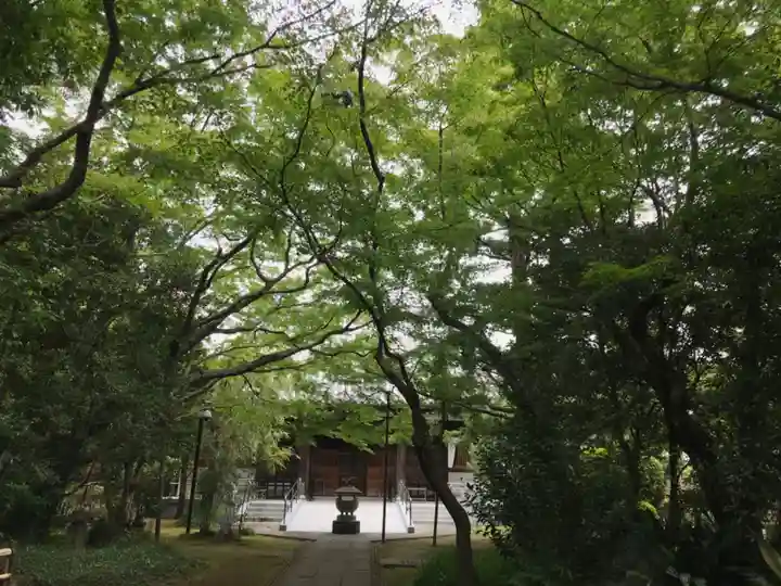 大正寺のその他建物