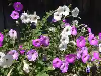 地蔵堂(龍池山観音寺遺跡)(埼玉県)