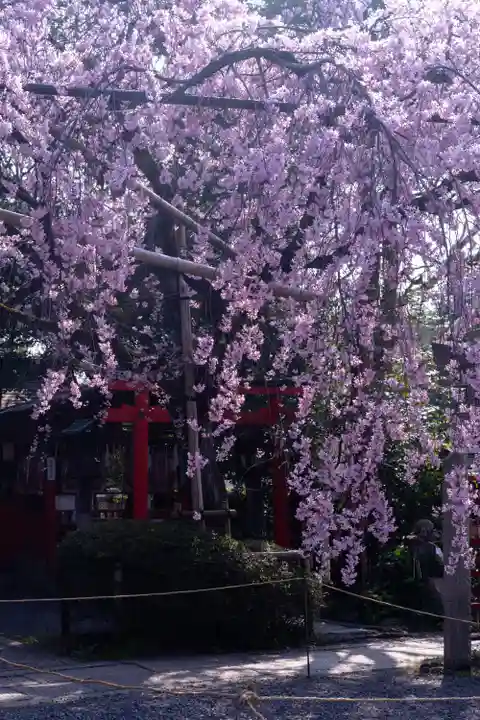 水火天満宮(京都府)
