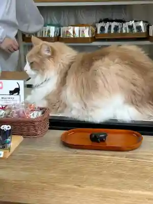 駒込妙義神社(東京都)